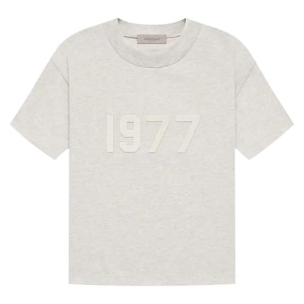 Essentials 1977 T-Shirt Gray